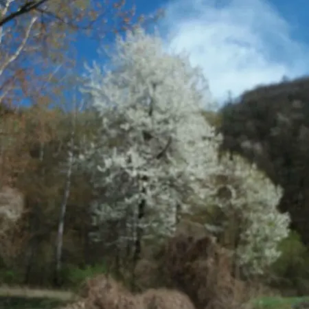 La Casa Dei Ciliegi * Brossasco